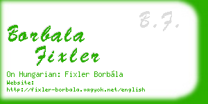 borbala fixler business card